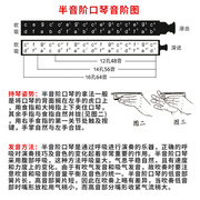 高档半音阶口琴12孔16孔黑霸王16641248口琴qm12a演奏表演乐器