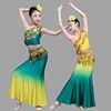儿童傣族舞蹈演出服女童傣族孔雀舞包臀鱼尾裙少儿表演服