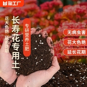 长寿花专用土花土营养土栽培土种养长寿花的土壤泥土配土盆栽肥料