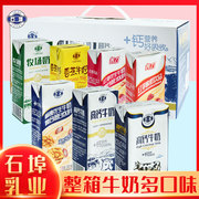 石埠 高钙奶纯牛奶口味可选 铁锌奶核桃花生奶红枣酸奶香蕉奶整箱