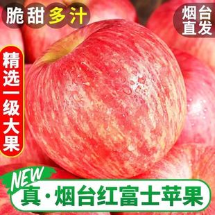 烟台红富士10斤苹果水果新鲜应当季正宗栖霞冰糖心丑平果整箱
