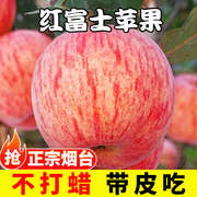 苹果新鲜水果当季整箱，10斤山东烟台栖霞红富士平果脆甜丑苹果