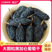 新疆黑加仑葡萄干特大烘焙孕妇零食500g免洗即食，提子干黑葡萄干