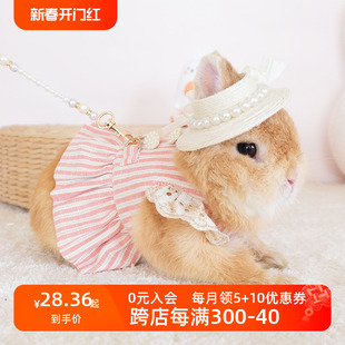 兔兔衣服宫廷风可爱条纹公主裙外装时尚装扮牵引绳服饰带帽子兔子