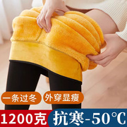 黄金绒加厚加绒打底裤，女士冬季外穿1000克东北特厚超厚保暖裤