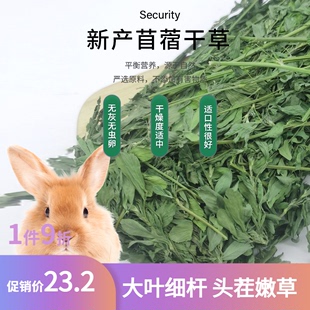 23年新草紫花苜蓿草幼兔兔子，草龙猫荷兰猪，牧草干草毛重1000克