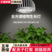 植物补光灯多肉生长灯led全光谱夹子灯室内绿植上色光照植物灯泡