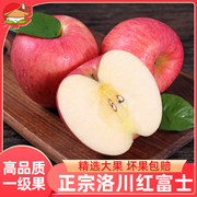 洛川新鲜脆甜大5陕西水果，红富士苹果斤