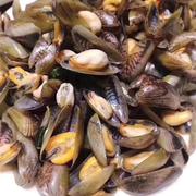 海瓜子薄壳鲜活水产新鲜潮汕，薄壳米海捕贝壳广东海鲜一斤