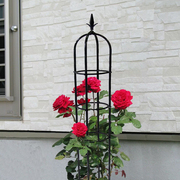 月季花架爬藤架铁线莲，玫瑰蔷薇阳台户外室外庭院，植物攀爬花支架子