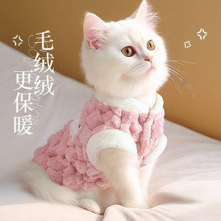 猫咪衣服秋冬保暖布偶德文蓝猫银渐层公主风马甲冬装可爱冬天棉衣