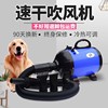 宠物吹风机小中大型犬速干大功率家用猫咪狗狗烘干机吹毛吹水机