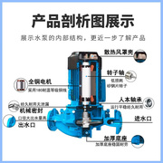 定制卧式管道泵 冷热水清水循环离心泵 铸铁管道增压离心泵议价