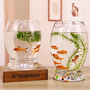 金鱼缸圆形客厅办公桌面小型迷你创意生态水族箱家用水培玻璃鱼缸