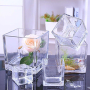 透明玻璃方缸水培瓶正方形水培玻璃瓶透明花瓶铜钱草水培花盆花槽
