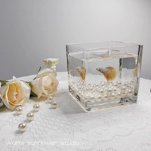 方形加厚玻璃小型鱼缸家用办公室桌面，金鱼缸(金鱼缸，)懒人造景装饰斗鱼缸