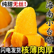 海南小台农芒果新鲜芒果10斤小台芒当季现摘热带水果大甜整箱