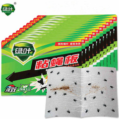 绿叶苍蝇贴强力粘蝇纸灭苍蝇家用粘蝇板自带诱饵胶粘捕蝇粘苍蝇板