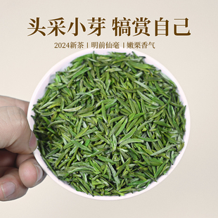 2024新茶汉中仙毫小米芽明前特级头采春茶陕西特产西乡午子绿茶叶