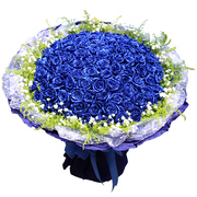 33朵蓝色妖姬玫瑰花束生日送上海同城鲜花速递送北京深圳广州