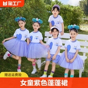 女童紫色蓬蓬裙六一儿童纱裙表演服夏季套装小学生幼儿园毕业礼服