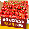圣女果新鲜小番茄5斤水果，当季蔬菜生吃自然熟3孕妇西红柿千禧山东