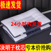 决明子枕头单人一对装家用双人薰衣草护颈椎枕芯，助睡眠荞麦皮整头