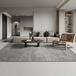 高级灰地毯客厅轻奢高级感现代简约茶几毯深色耐脏卧室2024