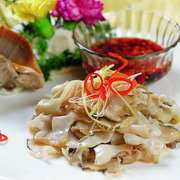 海螺肉宴会双响螺片冷冻半成品商用黄金鲍螺片凉拌海鲜食材私房菜