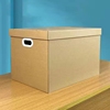 纸箱生日盒子包装礼物盒，大号零食鞋盒，储物盒纸质收纳箱子纸皮