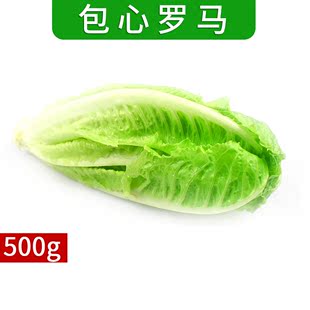 包心罗马生菜500g 绿色新鲜蔬菜沙拉食材 江浙沪皖5件