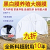 黑白膜防晒隔热降温加厚遮阳养殖塑料大棚膜抗老化食用菌鱼塘防渗