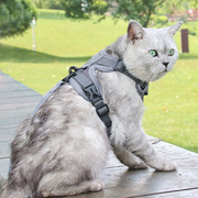 猫咪牵引绳背心式胸背带外出猫咪，专用防挣脱溜猫绳银渐层链子用品