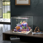 超白鱼缸客厅小鱼缸，小型玻璃桌面水草乌龟金鱼缸(金鱼缸，)裸缸生态造景