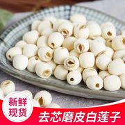 莲子500g干货特级白莲子(白莲子)去芯磨皮白莲江西特产农家自产无芯白莲