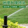 4分6分地埋喷头自动伸缩升降式草坪园林绿化浇水洒水器，喷淋养护喷