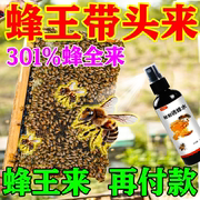 诱蜂膏神器蜂蜡强效诱蜂引蜂招蜂野外用中土蜂引蜂养蜂专用工具