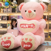 毛绒玩具泰迪熊公仔超大熊猫，抱抱熊抱枕布娃娃女孩生日礼物送女生
