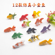 仿真小金鱼热带鱼模型玩具动物实心塑胶装饰小鱼科教儿童认知玩具