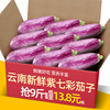云南新鲜紫七彩茄子9斤装农家，自种长线大茄子黑嫩长茄子现摘蔬菜