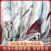 特大带鱼2斤装  东海海钓小眼带鱼海鱼鱼新鲜水产单条一斤