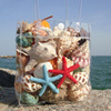 超级大海螺壳然缸真贝壳，15528摆件儿童天，玩具礼物海星瑚鱼水珊族