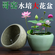 哥窑陶瓷专用花盆水养，植物一叶莲睡莲，盆缸铜钱草特大号水培碗莲盆