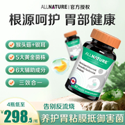 Allnature北美进口 猴头菇+银耳益生菌 胃添动力 买3送1