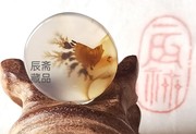 辰斋藏品 海洋玉髓《发财珊瑚鱼》象形奇石 天然草花玛瑙原石吊坠