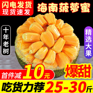 海南三亚菠萝蜜新鲜水果波罗蜜，当季特产一整个20-40斤整箱红