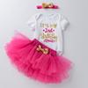 欧美童装婴儿周岁生日服卡通，哈衣粉色玫红公主裙套装定制