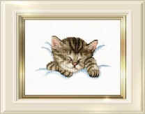 DM绣线小小鱼 卡通T100睡觉的猫可爱儿童精准印花印布十字绣套件