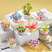 中国积木多肉植物盆栽可爱小摆件桌面花束装饰花朵送女生生日礼物