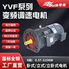 6极yvp变频调速电机0.37w-315w三相异步电动机，380v高效调速电机